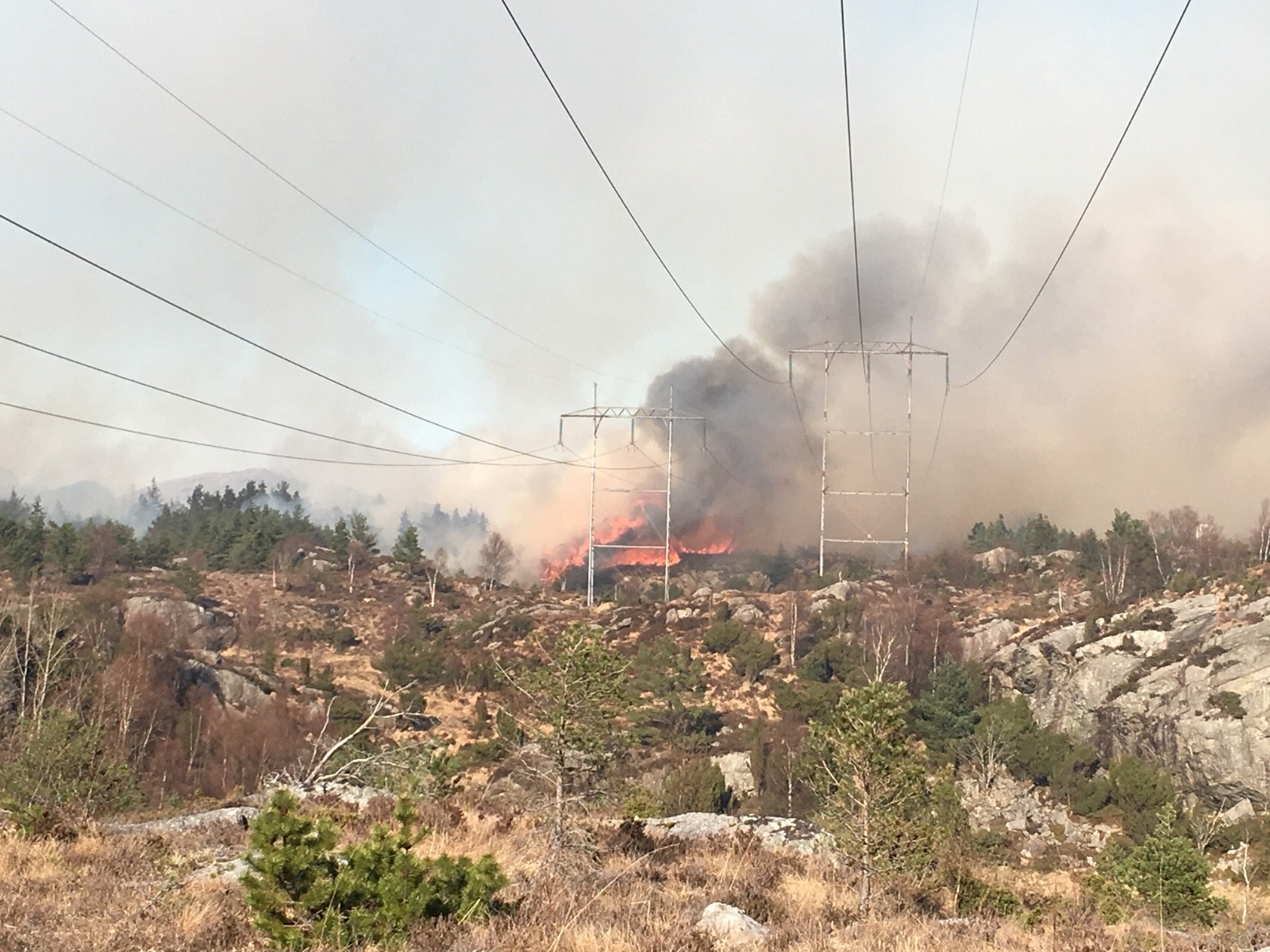 Fire crews working in a vegetation fire landscape