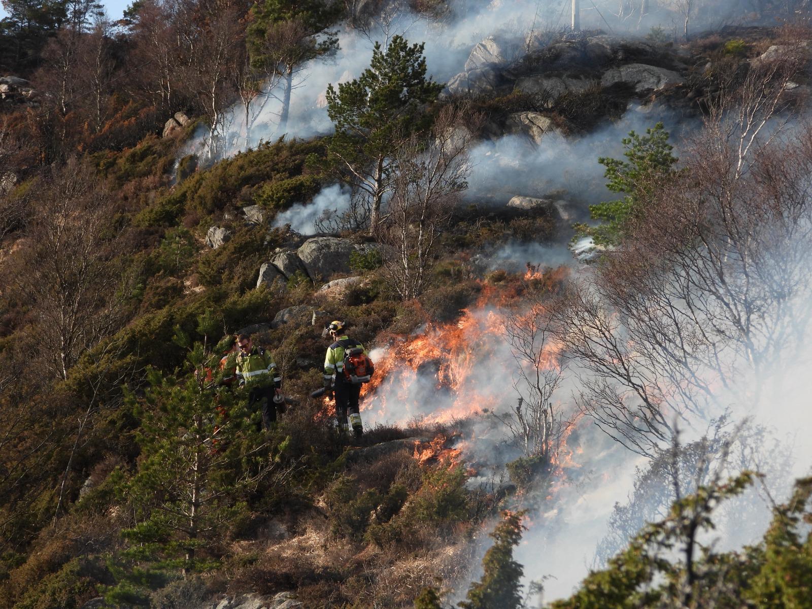 Fire crews carrying out a controlled prescribed burn